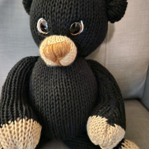 Morley the Curious Black Bear Cub